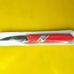 Carving Knife